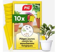 PIC Anti Moucherons Plantes Intérieur - 10 pièges jaunes protection efficace et alternative aux insecticides chimiques