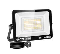 PICAA 100W Projecteur LED Exterieur, 10000LM 4000K Blanc Chaud Spot LED | avec EU Prise, Eclairage Mural pour Jardin, Patio, Garage, Entrée