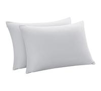 PiccoCasa 2 Pcs Taie Oreiller Viscose Bambou Refroidisement avec Fermeture éclair Respirant Doux Gris Clair 43 x 63 cm
