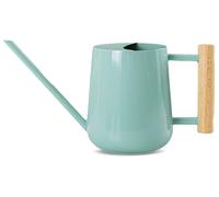 Pichet en acier inoxydable de 1 litre, avec un bec verseur long et une poignée en bois, de couleur bleue