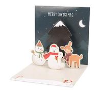 Picysa Carte de Vœux de Noël 3D avec Motif argenté Chaud et Zone D'écriture Lisse pour Décoration Festive ou Cadeau, Matériau en Papier, 1 unité (D)