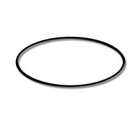 Pièce détachée: SunSun CPF-280 / CPF-380 / CPF-500 Filtre de bassin à pression Joint torique 1