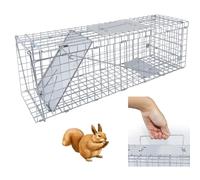 Piège à Animaux Vivants pour Lapin, écureuil, Opossum, mouffette, Chaton, Vison - Piège à Rats pour Attraper et relâcher, piège à Souris pour l'intérieur et l'extérieur.