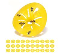 Piège À Guêpes, Pièges À Abeilles Frelons en Forme De Fleur Réutilisables 30 Pièces Entonnoir Accessoires D'apiculture Outils Attrape-Abeilles pour L'extérieur