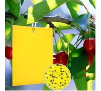 Piège à Insectes à Adhésif Piège à Nuisibles Pack de 8 Pièges Tableau Collant Anti-Insectes Adapté à Divers Environnements -20x15cm