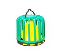 Genius Ideas Piège à insectes collant lumineux "Cactus"