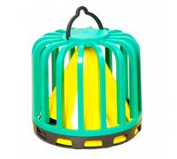 Genius Ideas Piège à insectes collant lumineux "Cactus"