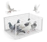Piège à Oiseaux, piège à Pigeons Anti-Fuite, Cage Pigeons avec Deux entrées d'accès unidirectionnelles, Oiseau Portable pour toits, Jardins Ouverts, granges et fermes