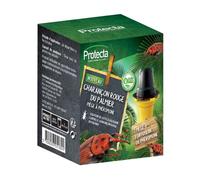 Protecta® Piège Charançon Rouge du Palmier avec Phéromone - Kit Complet Piège + Diffuseur - Piégeage Efficace sans Insecticide - Agriculture Biologique - Protection 3 Mois