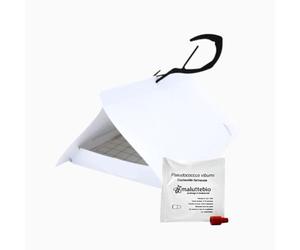 Piège à phéromones + 1 Sachet phéromones Cochenille farineuse - Traitement Anti cochenilles farineuses