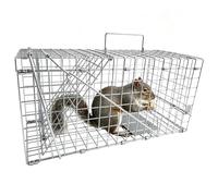 Piège à Rat Vivant 43 cm XXXL - Nasse à Rat - Piège à Fouine Loir | Capture sans Tuer l'animal, Réutilisable, pour l'intérieur et l'extérieur, très Grand Format - 43 x 20 x 19 cm