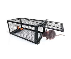 Piège à Rat, XXL Piege a Souris sans Tuer Cage Attrape Rat Cage de Capture pour Souris Loir Mulot Rongeurs - Piege a Rat Réutilisable Un Usage Extérieure Intérieure - 31 x 17 x 13.5 cm