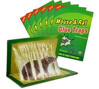 Piege a Souris Colle Collant 6 Pièces Pièges à Souris Attrape Anti Souris Rat Glue Plaque Collante Piège Souris et à Rats Rats [6 Pièces]