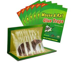 Piege a Souris Colle Collant 6 Pièces Pièges à Souris Attrape Anti Souris Rat Glue Plaque Collante Piège Souris et à Rats Rats [6 Pièces]