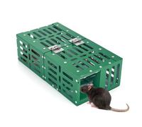Piège à Souris en Métal, Cage de Capture Vivante à Double Compartiment | Boîte haute sensibilité pour petites souris de 6-25g avec compartiment séparé anti-évasion, robuste et réutilisable