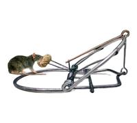 Piège À Souris En Métal Pour Rats, Piège À Ressort, Cage À Rongeurs Instantanée, Contrôle Des Écureuils, Attrape-Belette, Outil Antiparasitaire, Répulsif De Taupe