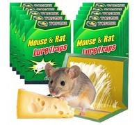 Piège à souris, piège à rats avec colle forte parfumée, piège à insectes collant. Pièges à rats super collants, pièges à souris collants, pièges à souris, pour la maison, l'extérieur, l'intérieur, le