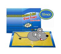 Piège à Souris Pièges à Rats, 10 Plaques Collantes Souris, Plaques de glu Anti Souris Anti Rat - Grande Taille 8"x12"