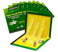 Piege a Souris Rat 31.5 CM x 21 CM Piège à Colle Anti Cafard 10 Pièces | Plaque Collant, Glue Trap Puissant Professionnel pour Exterieur Efficace Interieur