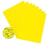 Piège collant pour nuisibles Flycatcher 20-pack Jaune