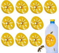 Piege Frelon Asiatique, Micro Guepe, piège à frelon Asiatique selectif, Frelons, Naturel - Réutilisable, Adapté Aux Mouches des Fruits (10PC)