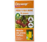 Piège naturel à glu contre les mouches d'arbres fruitiers