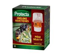 Piège sélectif pour frelons asiatiques