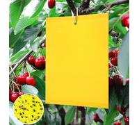 Pièges à Insectes 100pcs Pièges Engluées Colle Double-Face Piège à Mouches Pucerons Jaune Attrape 20 * 25 cm-Insectes de Tueur d'insecte pour Plantes d'intérieur et d'extérieur Fleurs Fruits