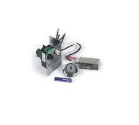 Piezo + électrode pour Weber Spirit Premium 200 ou 300 (avant 2013)