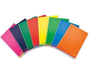 Pigna 02308750Q bloc-notes A4 Multicolore