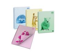 Pigna, Cahier à spirales avec feuilles coloratiCOLOUR INSIDE, f.to 21 x 29,7 cm, 50 feuilles, 80 g/m², feuilles à rayures, lot de 4 (4 sujets dans le paquet)