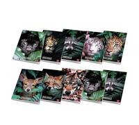 Pigna, lot de 10 cahiers A4 ANIMAL, 80 pages + page de garde, quadrillage 5 mm