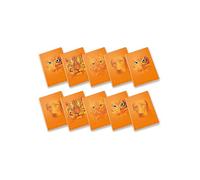 Cahier Pigna Maxi monochrome orange, format A4, 72 pages quadrillées, lot de 10
