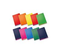 Pigna 02308751R bloc-notes A4 Multicolore