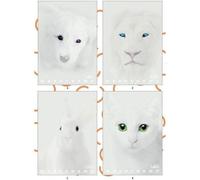 Pigna Monochrome Blanc, Papier Carnet A4 Doublure 10mm 100g/M², Paquet De 10 Pièces 023079110