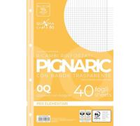 Pigna, Paquet de 40 4 trous, classement avec bande latérale renforcée, feuilles avec trous renforcés, format A4, 21x29,7, 0Q, carré 5 mm avec marge