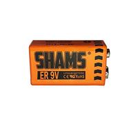 Pile Batterie 9V Lithium 1200mAh 6F22 6LR61 6KR61 PP3 6FR61LB1A | Remplacement Compatible avec DÉTECTEUR DE FUMÉE SYSTÈME Alarme CAPTEUR Radio Micro RÉVEIL Jouets Lampe Torche Rasoir ETC...