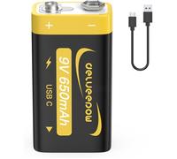 Piles 9V Rechargeable 650mAh, Pile 9V Lithium Rechargeable USB C 1PCS pour Détecteur de Fumée