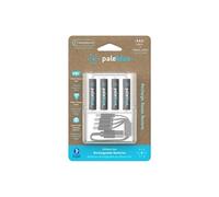 Piles Rechargeables USB-C PALEBLUE AAA LR03 HR03