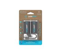 Piles Rechargeables USB-C PALEBLUE D LR20 HR20