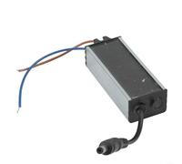 Pilote LED, étanche IP66, courant constant, AC85-265V - Boîtier en aluminium, protection contre les surcharges - Panneaux & plafonniers, cuisine et salle de bain, 300mA/600mA (36-42w600ma)