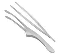 Pince à Barbecue 2 Pièces Multifonctionnelle en Acier Inoxydable | Pratique à Manier, Design à Grain, pour Buffet, Steak, Maison, Fête, Mariage, Argenté