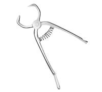 Pince à Thé en Acier Inoxydable, Largeur Réglable, pour Brique | Ustensile Cérémonie du Thé, Séparation Précise des Feuilles, Salon et Fête, Finition Argentée