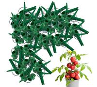 Pince de greffage de , pince pour greffe de | Clips de support pour , aubergine, tomate, pastèque, outil de jardinage