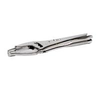 Pince Etau 4 Positions 250Mm Irimo