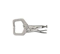 Pince étau en col de cygne embout règulier 6R 150 mm T17EL4 de