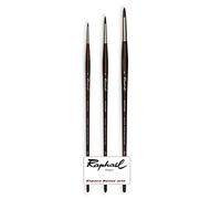 Pinceau Raphael Textura Rond Series 860,synthétiques, 0, 4,8. (Raphael France)
