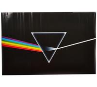 Pink Floyd (Dark Side of the Moon 61 x 91.5 cm Maxi Poster