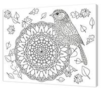 Pintcolor 7806.0 châssis avec Toile imprimée à colorier, Bois de Sapin, Blanc/Noir, 40 x 50 x 3,5 cm