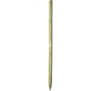 Piquet cloture de ligne Ako Octo Wood Beige 200 cmx100 mm